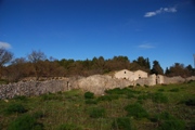 Clicca qui per vedere l'immagine in dettaglio